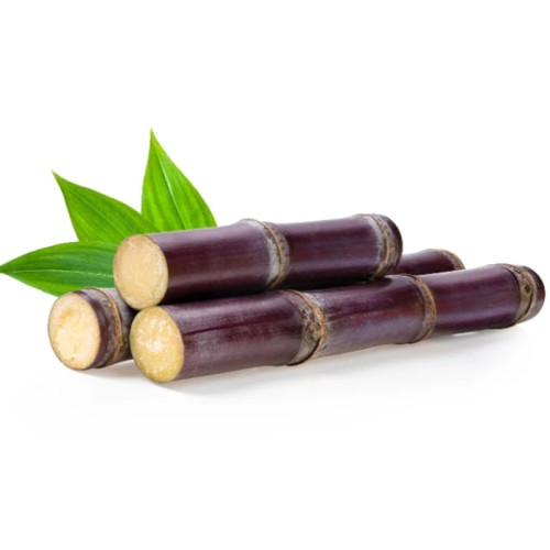 Sugar Cane Extract