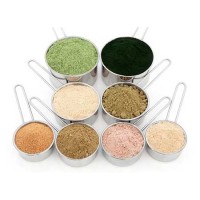 Fruit and Vegetable Powder Manufacturers