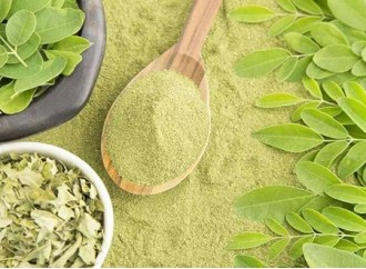 Can Moringa leaf powder be consumed during pregnancy?