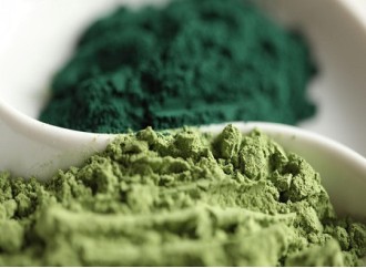 Effects of Spirulina Powder on the Digestive System