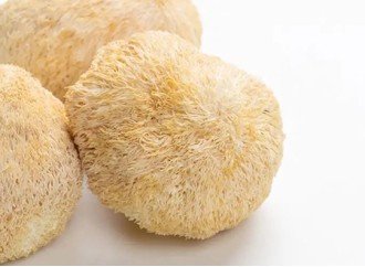Is there a difference between lions mane powder and lions mane extract?