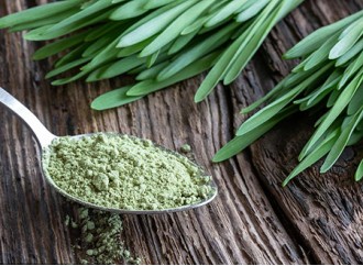 How to use barley grass powder for weight loss?