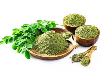How does Moringa leaf powder achieve weight loss?