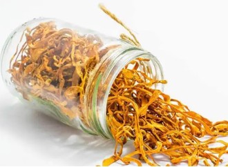 Is it suitable for people with influenza to use cordyceps powder to enhance immunity?
