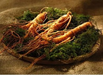 Ginseng extract can regulate blood sugar through multiple pathways