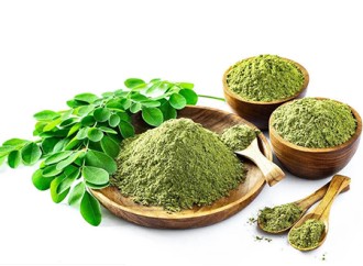 Moringa leaf powder or barley grass powder, which one has better weight loss effect?