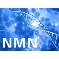 NMN (Beta Nicotinamide Mononucleotide)