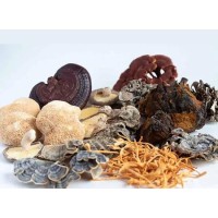 Organic-Mixed Mushroom Extract Powder