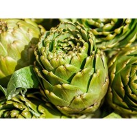 Artichoke Leaf Extract Cynarin