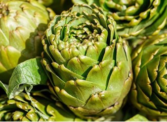 Which ingredient of artichoke leaf extract contributes to gut health?