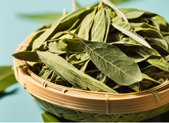 Besides being used as a sweetener, what other uses are there for stevia leaf extract?
