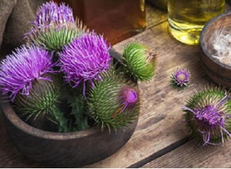 What role does milk thistle extract play in skin care products?