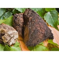 Organic Chaga Extract Powder