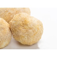 Lions Mane Extract Powder