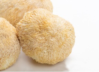 Does lions mane mushroom extract help atrophic gastritis?