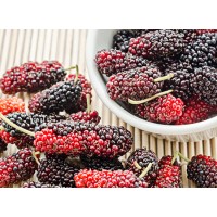 Organic Mulberry Fruit Powder