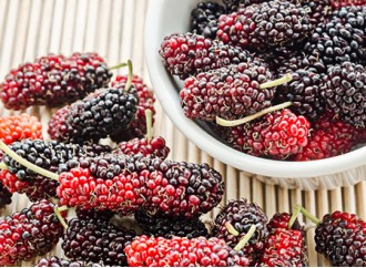 What are the effects of mulberry fruit powder?