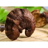 reishi mushroom extract powder vs reishi mushroom spore powder