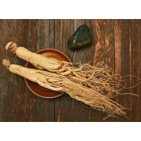 Panax Ginseng Extract Ginsenosides