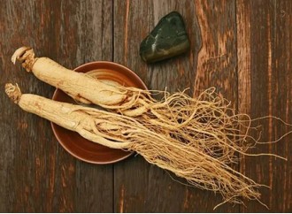 The role of ginseng extract in improving blood circulation