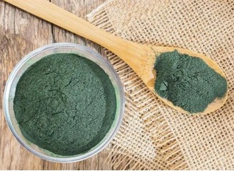 Can normal people consume organic spirulina powder for a long time?