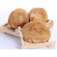 Organic Lion's Mane Extract Powder