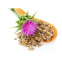 Milk Thistle Extract for Liver