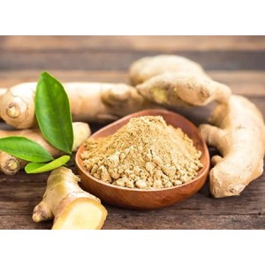 Ginger Extract Gingerol for Sports Nutrition