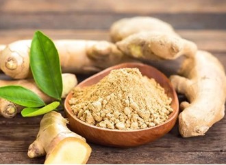 Application of ginger extract in sports nutrition products