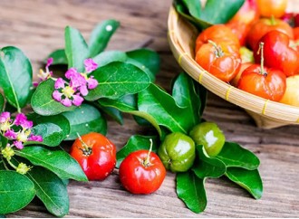 The difference between natural acerola cherry extract vitamin C and synthetic vitamin C