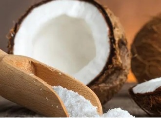 What is the difference between coconut water powder vs coconut milk powder?
