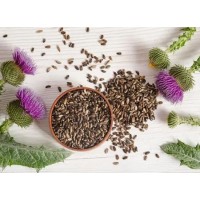 Milk Thistle And Artichoke Extracts