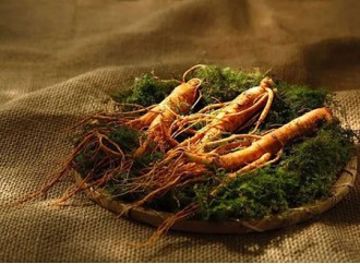 The Difference Between Ginseng Extract and Ginseng Powder