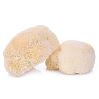 Safety of Lion's Mane Mushroom Extract