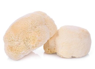 How to evaluate the quality and safety of lion's mane mushroom extract?