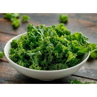 Organic Kale Extract Powder