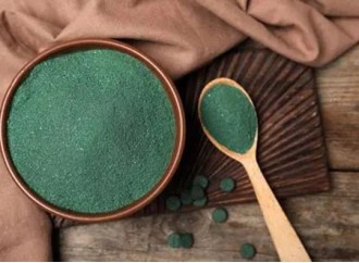 Spirulina powder & alfalfa powder – help the intestines excrete toxins