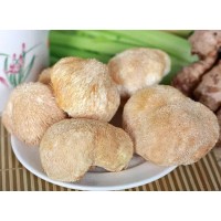 Lion's Mane Mushroom Extract For Nerve Growth