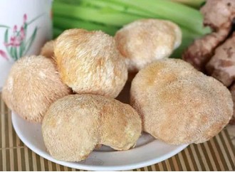 Lion's Mane Mushroom Extract: A Potential Promoter of Nerve Growth