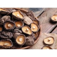 Shiitake Mushrooms Extract For HPV Infection