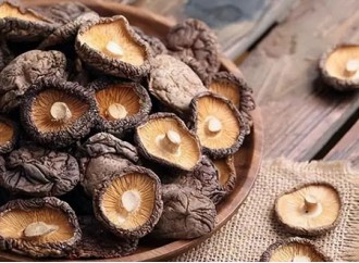 Can eating Shiitake mushrooms instead of shiitake mushrooms extract Clear HPV infection?