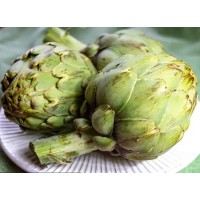 Artichoke Leaf Extract For Constipation