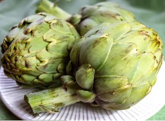 Is artichoke leaf extract friendly for people with constipation?