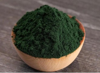 Can fitness enthusiasts use spirulina powder instead of protein powder?