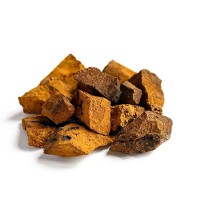 Chaga Mushroom Extract Powder