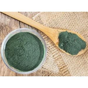 Organic Spirulina Powder Benefits