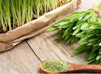 What is the difference between barley grass powder and kale powder in terms of ingredients? 