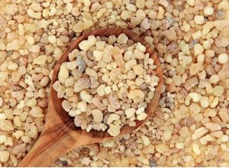 Boswellia Serrata Extract: A Natural Aid for Joint Mobility