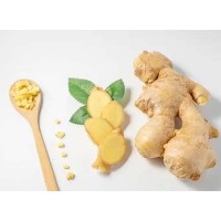 Organic Ginger Extract Gingerol