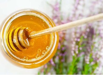 Honey vs. Honey Powder: Which is Better for Daily Consumption?